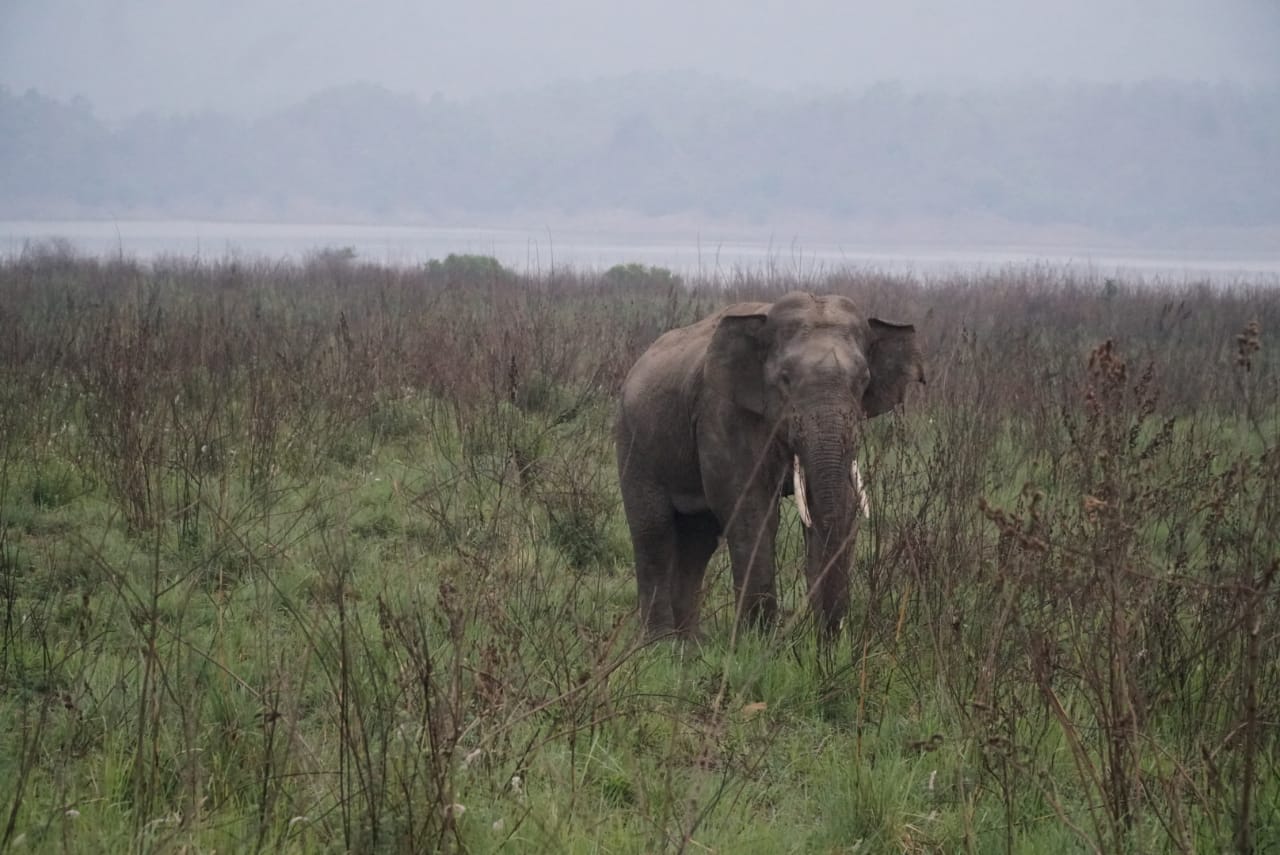 Responsible travel in Corbett Tiger Reserve