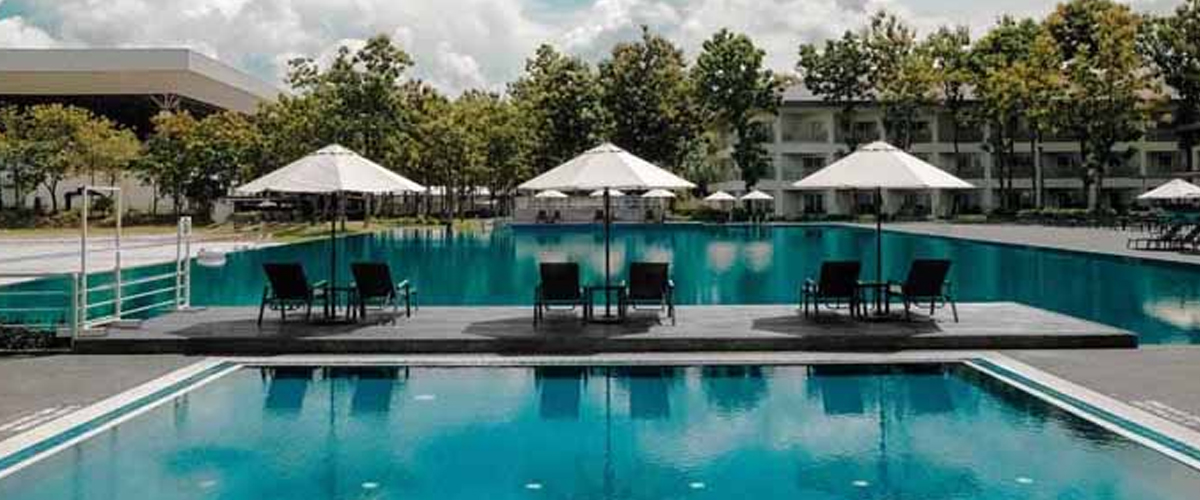 Swimming pool with forest backdrop at The Roar Resort