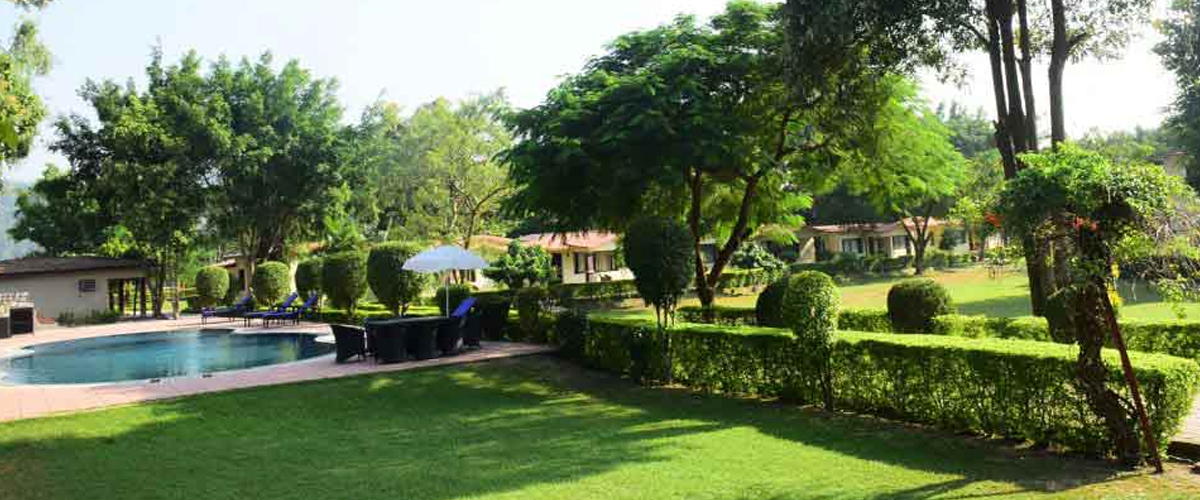 Swimming Pool at Tiger Camp Resort Corbett