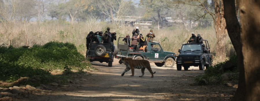 Jeep safari crossing a river in Dhikala zone